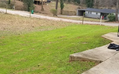 Photo of Linda D.'s yard after getting landscaping in Woodbury, GA