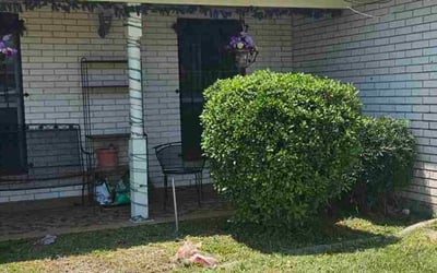 Photo of Shelita C.'s yard after getting tree care in Metairie, LA