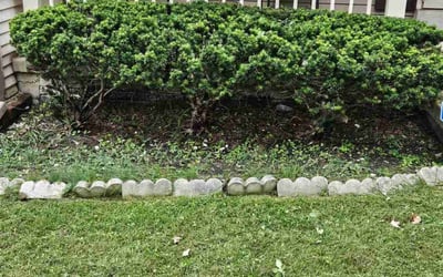 Photo of LaTosha G.'s yard after getting landscaping in Bryantown, MD