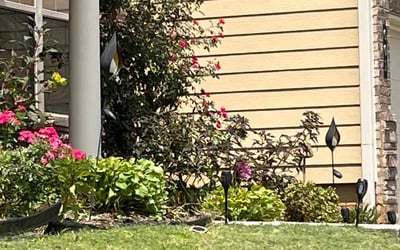 Photo of Jackie M.'s yard after getting landscaping in Jasper, GA