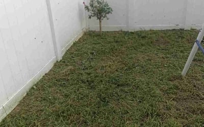 Photo of Megan D.'s yard after getting landscaping in Highland City, FL