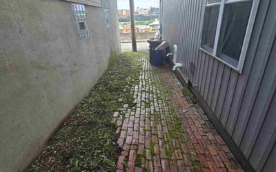 Photo of CJ B.'s yard after getting landscaping in Pittsburgh, PA