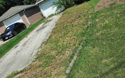 Photo of Timothy D.'s yard after getting landscaping in Saint Charles, IL