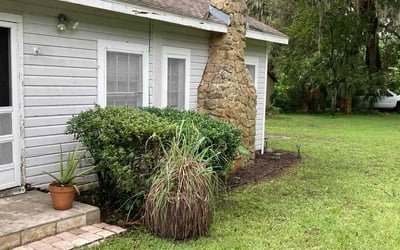 Photo of Beverly L.'s yard after getting tree care in Lake Helen, FL