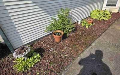 Photo of Shemele C.'s yard after getting lawn care in Myrtle Beach, SC