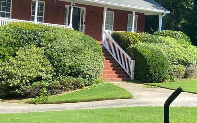 Photo of Adele M.'s yard after getting lawn care in Jasper, GA