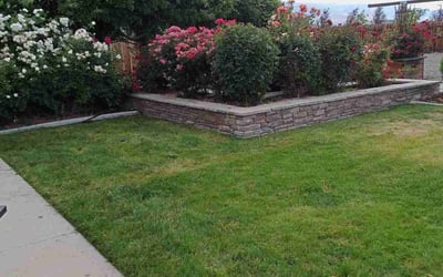 Photo of Stephanie S.'s yard after getting landscaping in Reno, NV