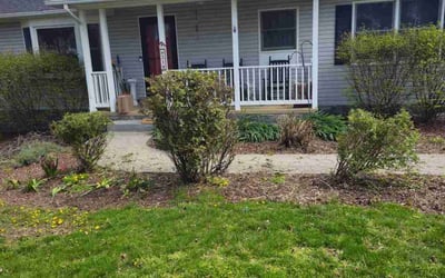 Photo of Rosa L.'s yard after getting tree care in Riverdale, MD