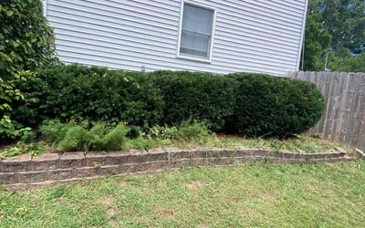 Photo of Mandy H.'s yard after getting landscaping in Comstock Park, MI