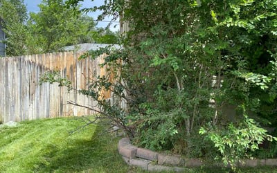 Photo of Michael W.'s yard after getting landscaping in Palmer Lake, CO