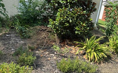 Photo of Phillip M.'s yard after getting landscaping in Madison, AL