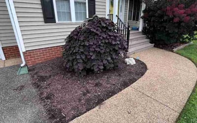 Photo of Jeff R.'s yard after getting landscaping in Studley, VA