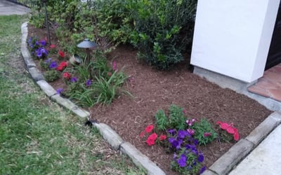 Photo of Paul N.'s yard after getting landscaping in Stowell, TX