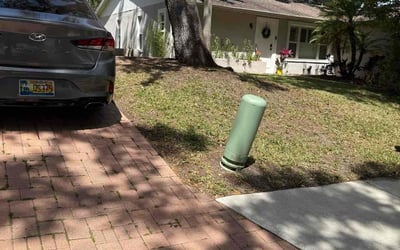 Photo of Justin M.'s yard after getting landscaping in Safety Harbor, FL