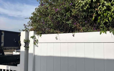 Photo of Richard K.'s yard after getting landscaping in Torrance, CA