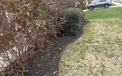 Photo of Michael S.'s yard after getting landscaping in Richmond, KY