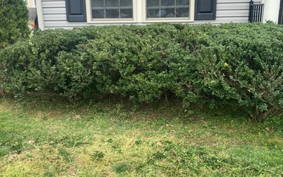 Photo of Paul M.'s yard after getting landscaping in Columbia, VA