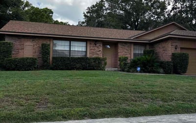 Photo of Neil T.'s yard after getting landscaping in Orlando, FL