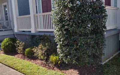 Photo of Rebecca F.'s yard after getting landscaping in Vacherie, LA