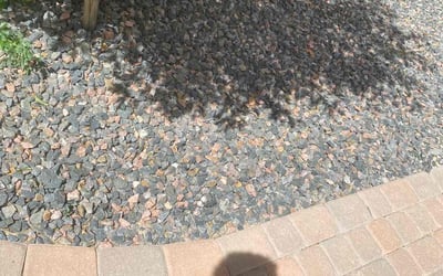 Photo of Chris E.'s yard after getting landscaping in Conifer, CO