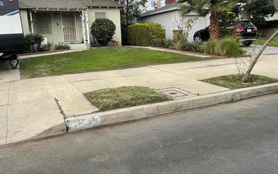 Photo of Carol M.'s yard after getting landscaping in Arcadia, CA