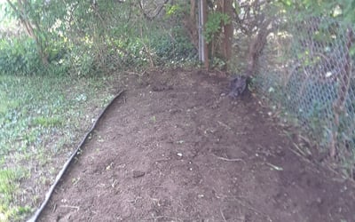 Photo of Calvin A.'s yard after getting tree care in Fort Thomas, KY