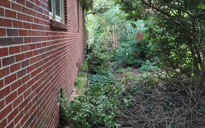 Photo of Tevran G.'s yard after getting tree care in Williamsburg, VA