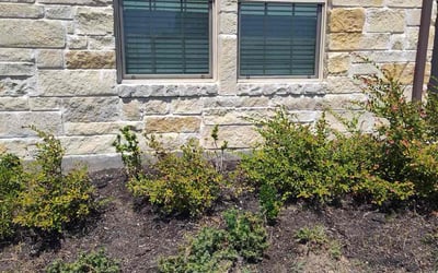 Photo of Sean F.'s yard after getting tree care in Del Valle, TX