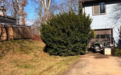 Photo of Michael M.'s yard after getting landscaping in Bluemont, VA