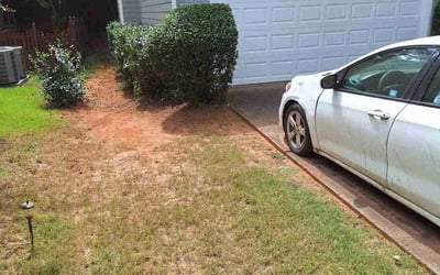 Photo of Michelle D.'s yard after getting landscaping in Cassville, GA