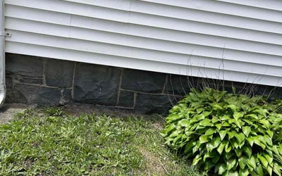 Photo of Mary S.'s yard after getting landscaping in Taunton, MA