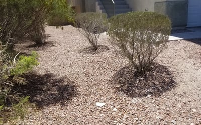 Photo of Jackie W.'s yard after getting landscaping in Overton, NV