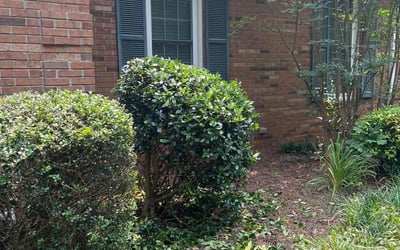 Photo of Jeff B.'s yard after getting landscaping in Alexis, NC