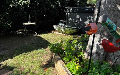 Photo of Diane D.'s yard after getting landscaping in Fort Worth, TX