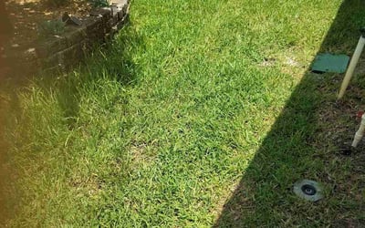 Photo of Jeanne H.'s yard after getting landscaping in Riverview, FL