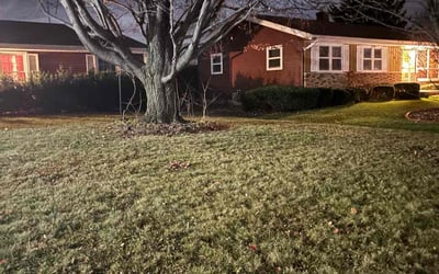 Photo of Lisa R.'s yard after getting landscaping in Stoughton, WI