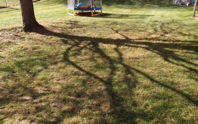 Photo of James M.'s yard after getting landscaping in Hudsonville, MI