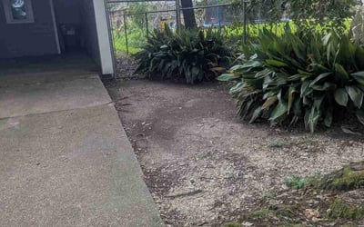 Photo of Michael H.'s yard after getting landscaping in Lafayette, LA