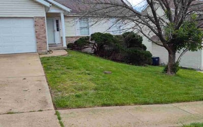 Photo of Kelli M.'s yard after getting landscaping in East Saint Louis, IL