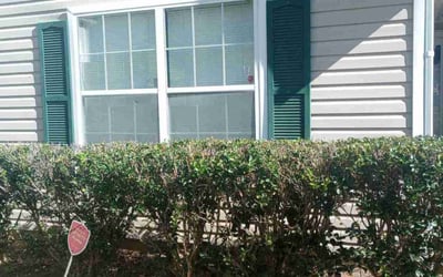 Photo of Patricia W.'s yard after getting landscaping in Redan, GA