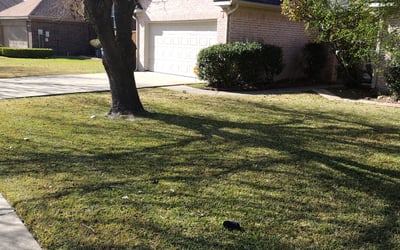 Photo of Anthony S.'s yard after getting landscaping in Rosser, TX