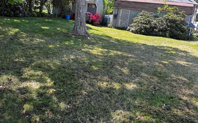 Photo of Michael S.'s yard after getting landscaping in Enfield, CT