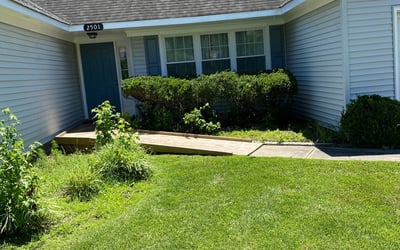Photo of Elizabeth A.'s yard after getting landscaping in Hudgins, VA