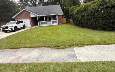 Photo of Sharon H.'s yard after getting tree care in North Charleston, SC