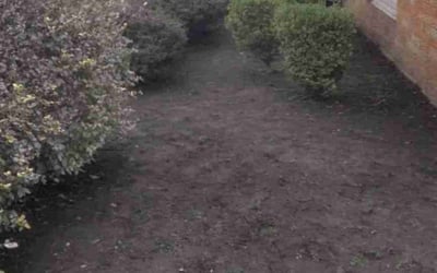 Photo of Jon C.'s yard after getting landscaping in Brookpark, OH