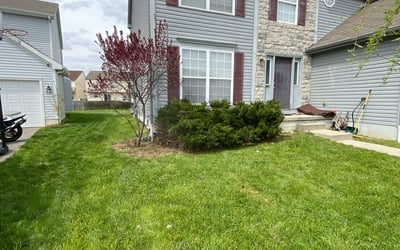 Photo of Rob P.'s yard after getting landscaping in Kirkersville, OH