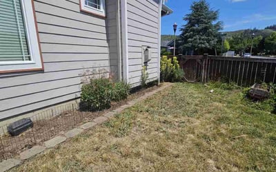 Photo of Amber M.'s yard after getting landscaping in Sumner, WA