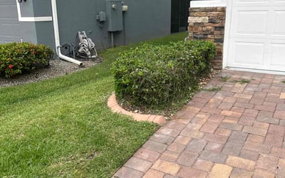 Photo of Mark S.'s yard after getting landscaping in Oakland, FL