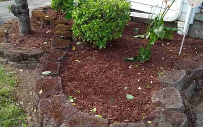 Photo of Mark C.'s yard after getting landscaping in Portland, OR