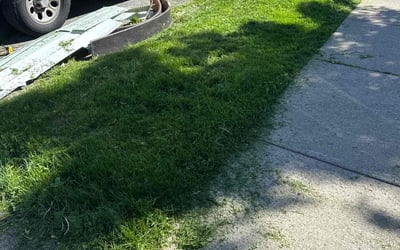 Photo of John B.'s yard after getting landscaping in Buffalo, NY